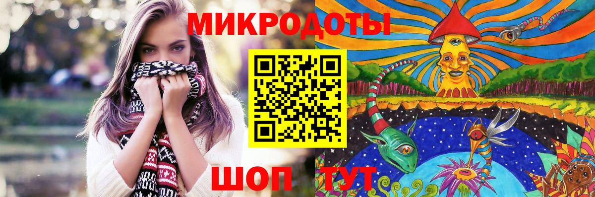 Псилоцибиновые грибы Psilocybine cubensis Михайловск