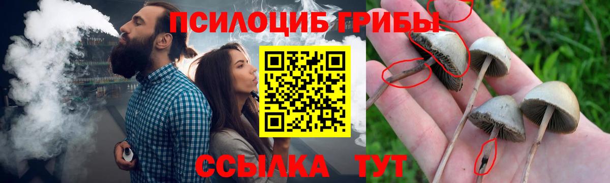 Псилоцибиновые грибы Magic Shrooms  закладки  Михайловск  Вход с VPN 